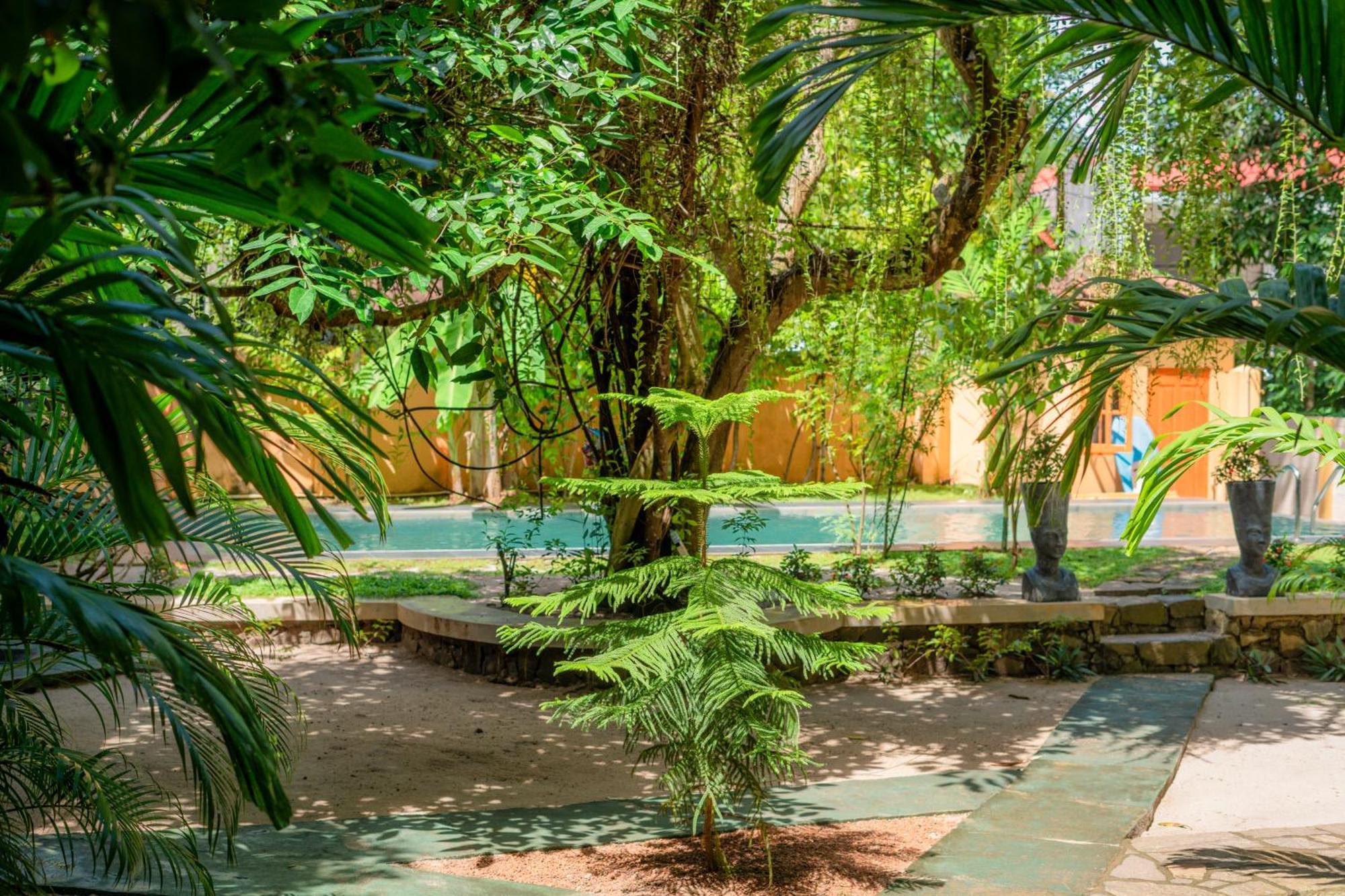 Monkey Villa Hikkaduwa Kültér fotó